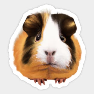 Cute Guinea Pig Drawing Sticker